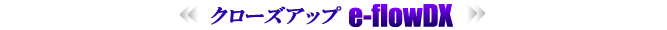 �N���[�Y�A�b�v e-flowDX �i�C�[�t���E�f�B�[�G�b�N�X�j